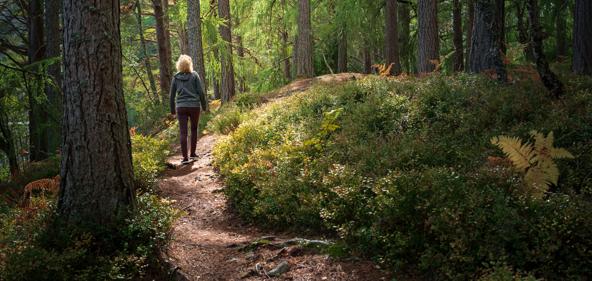 Why Nature Is the Ultimate Healer in 2025: A Return to What Really Matters