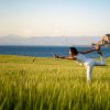 Reconnecting with Nature: The Healing Power of the Outdoors