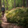 Why Nature Is the Ultimate Healer in 2025: A Return to What Really Matters