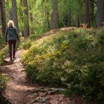 Why Nature Is the Ultimate Healer in 2025: A Return to What Really Matters