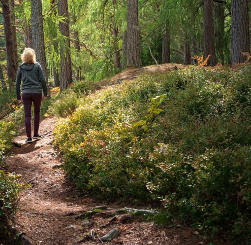 Why Nature Is the Ultimate Healer in 2025: A Return to What Really Matters
