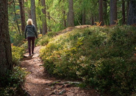 Why Nature Is the Ultimate Healer in 2025: A Return to What Really Matters